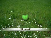 Sfondi amore cuore e prato